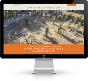 small business website design