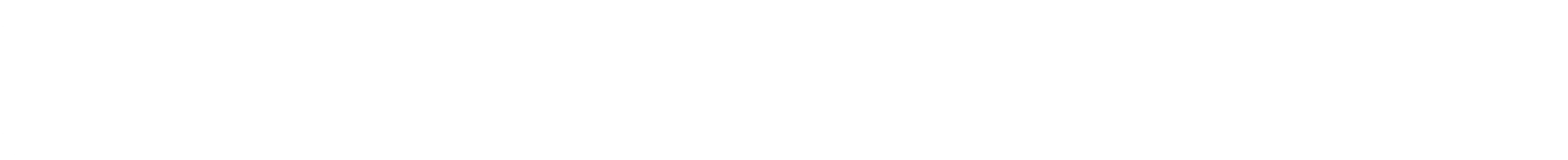 Website Design Agency